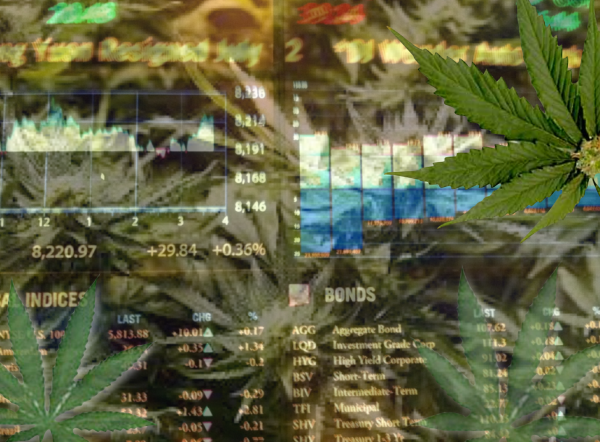 Marijuana Stock Market